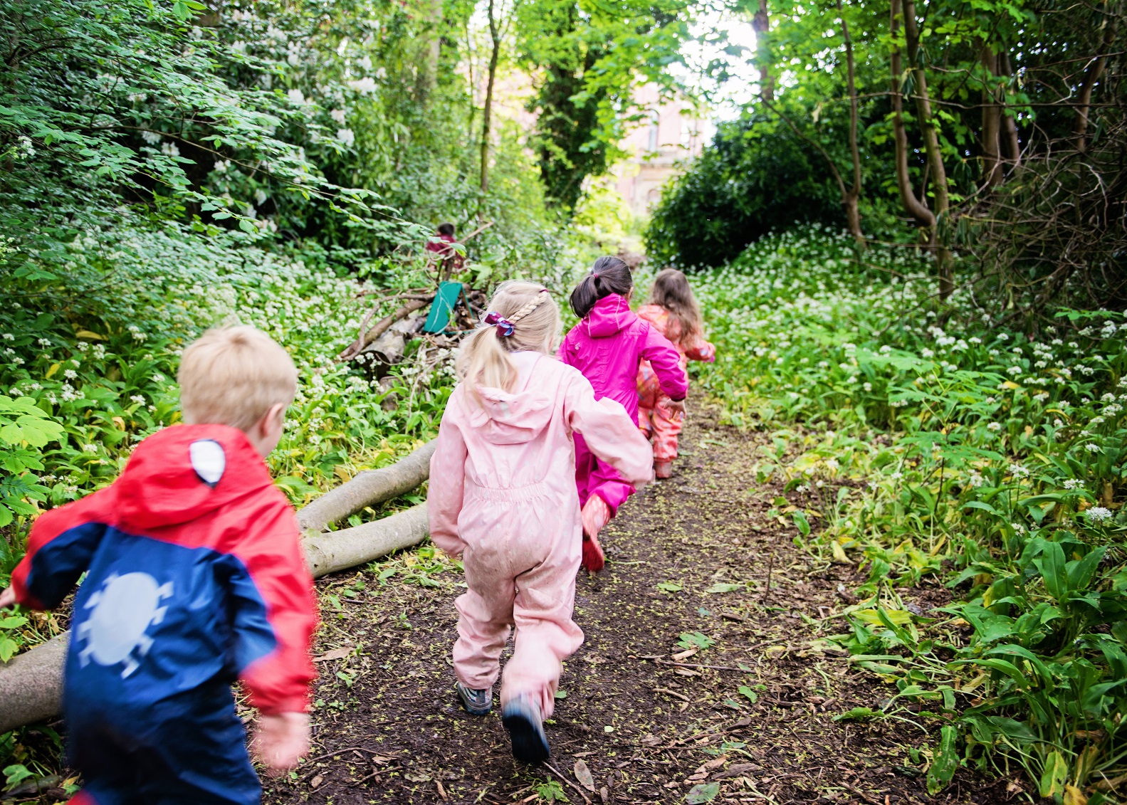 Forest School 